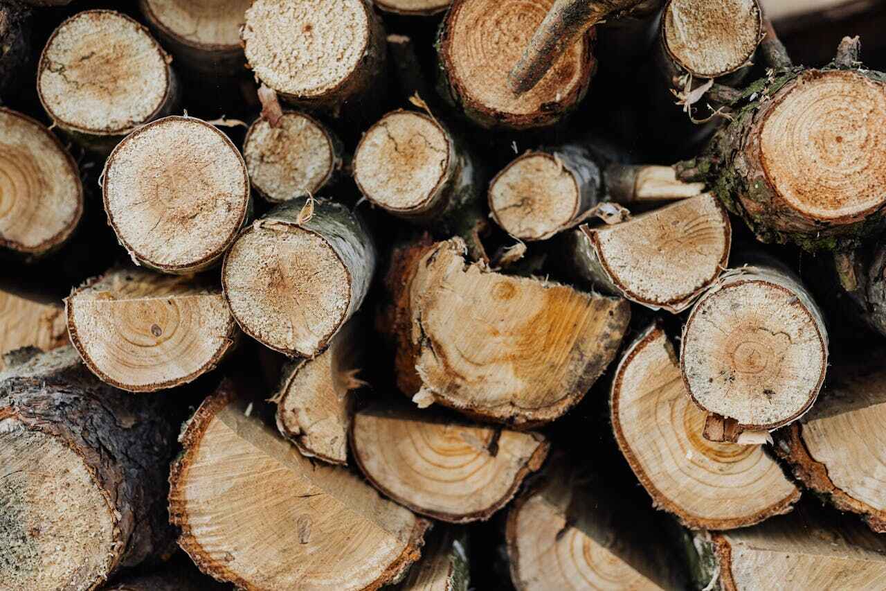 Tree Branch Trimming in Byrnes Mill, MO